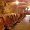W2640 Clare JesuitWineCellar