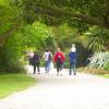 W1850 NZ Gardens3