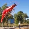W0300 Exmouth Prawn