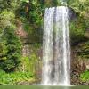 W1240 Cairns MirimFalls