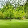 W1860 NZ Gardens4