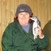 W2420 Cheryl StuffedPenguin