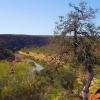 W0050 Kalbarri NP