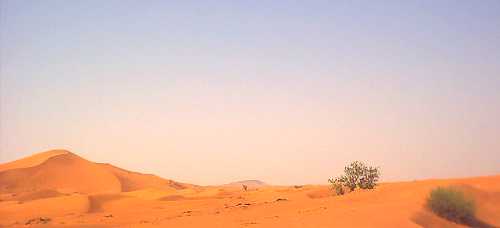 dubai_sand.jpg (4809 bytes)