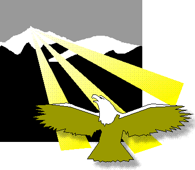 Eagle Soaring